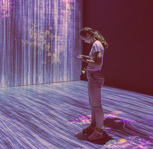 Whitespace consulting